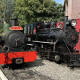 Summer Steam Festival