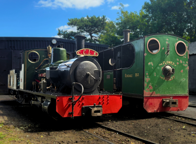 Bonnie Dundee and Flower of the Forest find their forever home